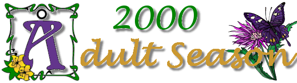 Adult Season Banner